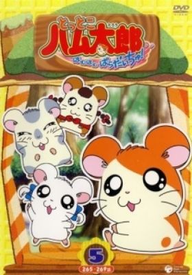 Hamtaro