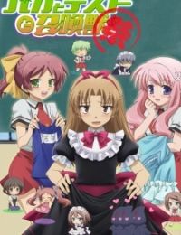 Baka and Test - Summon the Beasts: Matsuri