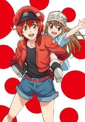 Cells at Work!