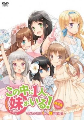 NAKAIMO - My Little Sister Is Among Them!: Ani, Imouto, Koibito