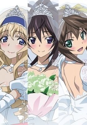 IS: Infinite Stratos 2 - Infinite Wedding