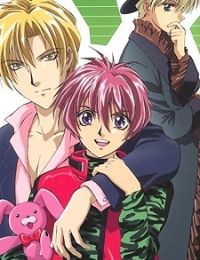 Gravitation TV