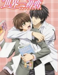 Sekai Ichi Hatsukoi - The World's Greatest First Love