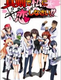 Majikoi: Oh! Samurai Girls