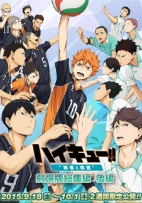 Haikyuu!! the Movie: The Winner and the Loser