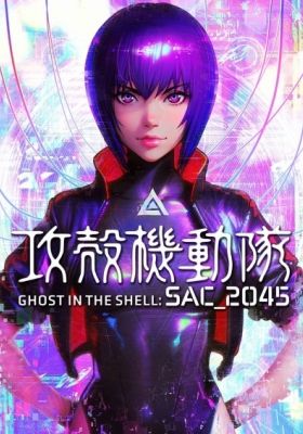 Ghost in the Shell: SAC_2045 Sustainable War