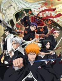 Bleach the Movie: Memories of Nobody