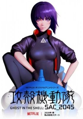 Ghost in the Shell: SAC_2045