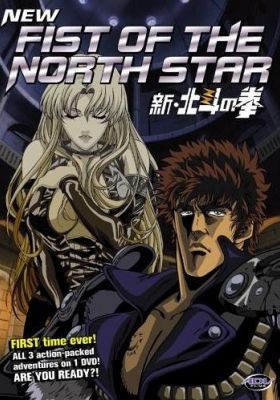 New Fist of the North Star